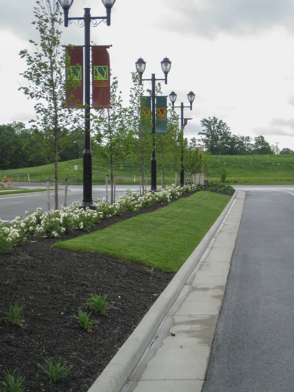 Fallen Timbers roadway landscape with street trees, flowering shrubs, banners, and pedestrian lighting